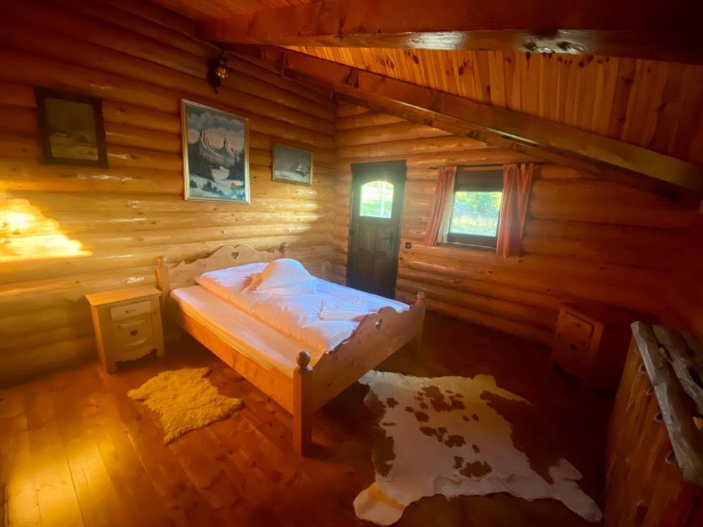 Cabana Vanatorului Rîşnov Exterior foto