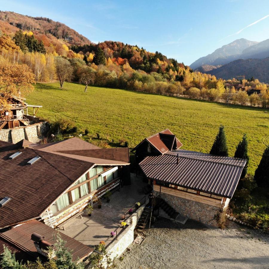 Cabana Vanatorului Rîşnov Exterior foto
