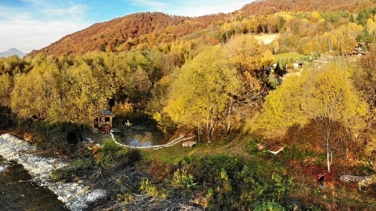 Cabana Vanatorului Rîşnov Exterior foto
